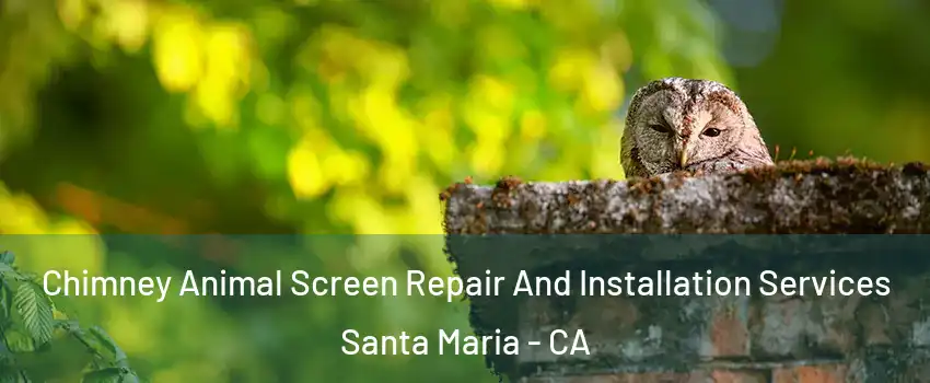 Chimney Animal Screen Repair And Installation Services Santa Maria - CA