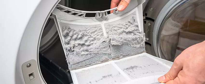Best Dryer Lint Removal Company in Santa Maria, California